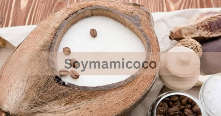 Soymamicoco – Everything You Need To Know!