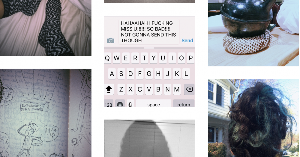 The Impact of VSCO Search on Photography Trends